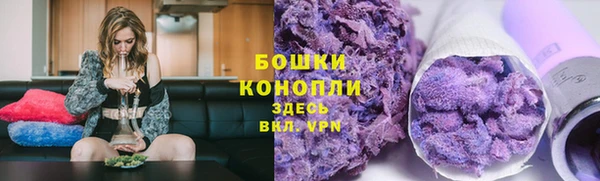 ПСИЛОЦИБИНОВЫЕ ГРИБЫ Арсеньев
