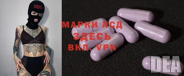 ПСИЛОЦИБИНОВЫЕ ГРИБЫ Арсеньев