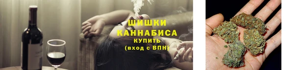 ПСИЛОЦИБИНОВЫЕ ГРИБЫ Арсеньев