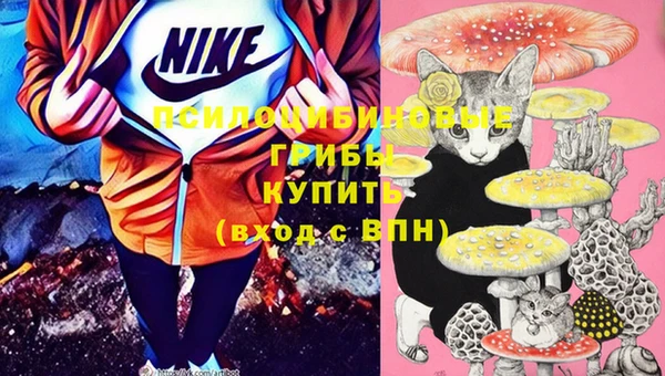 ПСИЛОЦИБИНОВЫЕ ГРИБЫ Арсеньев