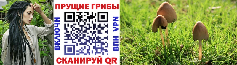 Псилоцибиновые грибы ЛСД  Георгиевск 